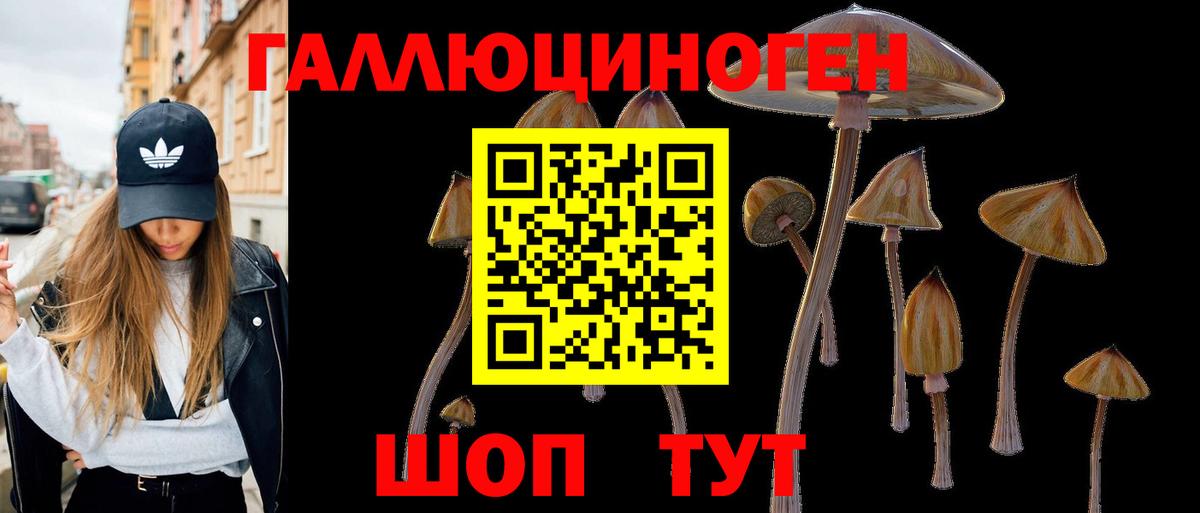 Псилоцибиновые грибы прущие грибы Печора